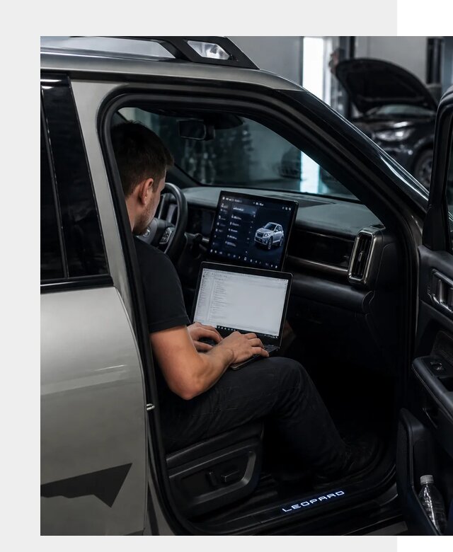 Русификация BYD Leopard 3 в Чистополе по цене от 20376 р. | ФастМобиль-Чст